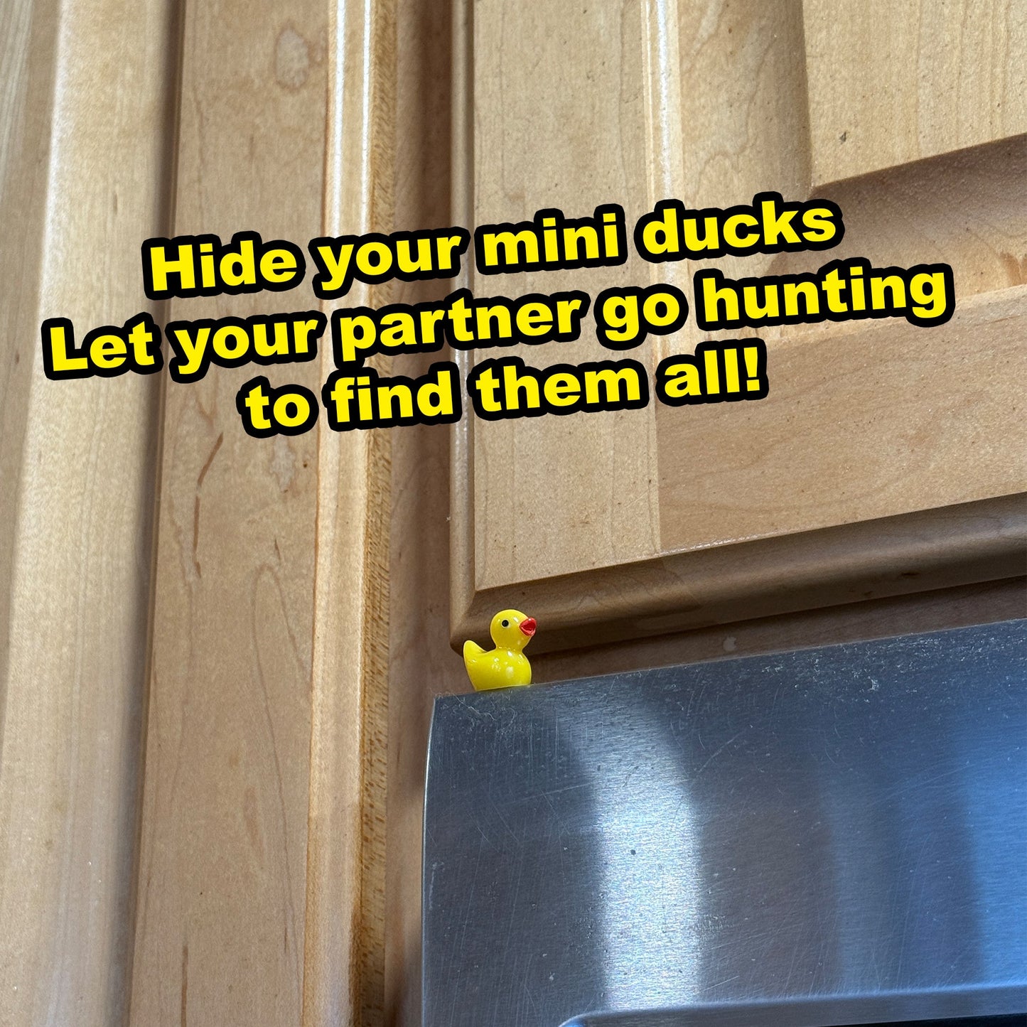 Jar of Mini Ducks – Cute Hidable Couple Game - Honey Bun