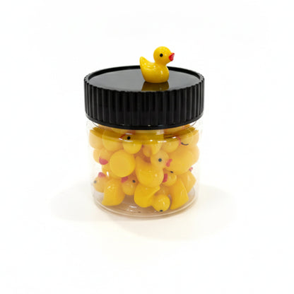 Jar of Mini Ducks – Cute Hidable Couple Game - Honey Bun
